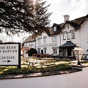Bear Of Burton
